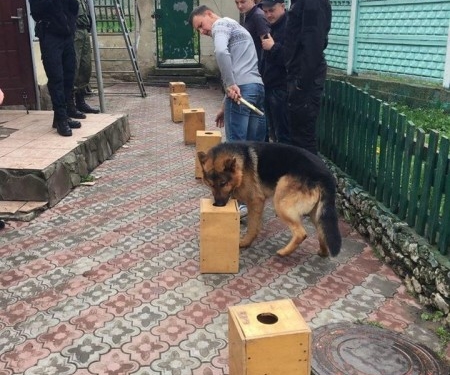 У Тернополі з’явиться кінологічний патруль