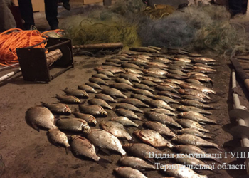 На Тернопільщині браконьєри виловили рекордну кількість риби на 32 тисячі гривень