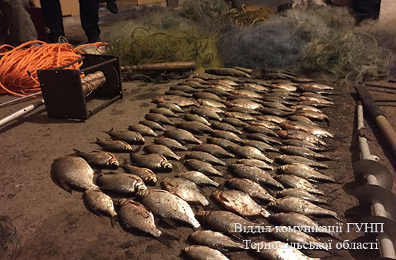 На Тернопільщині браконьєри виловили рекордну кількість риби на 32 тисячі гривень