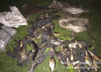 На Тернопільщині влаштували справжнісіньке полювання на браконьєрів (ФОТО)