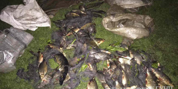 На Тернопільщині влаштували справжнісіньке полювання на браконьєрів (ФОТО)