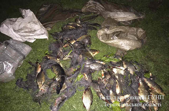 На Тернопільщині влаштували справжнісіньке полювання на браконьєрів (ФОТО)