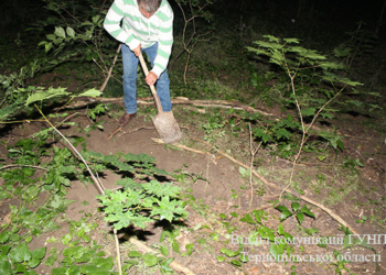Тернопільщину сколихнула смерть новонародженої дитини від рук матері