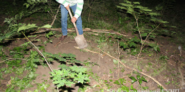 Тернопільщину сколихнула смерть новонародженої дитини від рук матері