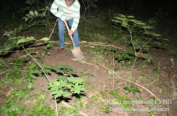 Тернопільщину сколихнула смерть новонародженої дитини від рук матері