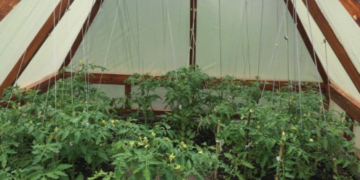 Тернопільські вчені за крок до відкриття