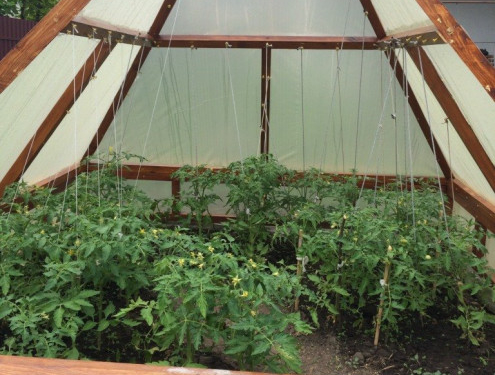 Тернопільські вчені за крок до відкриття