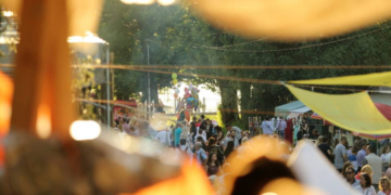 ГАЛИЦЬКА ДЕФІЛЯДА 2017: від загальноміського свята до рекордів