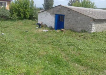 Волонтери будують біля Тернополя центр перетримки собак і дуже просять про допомогу