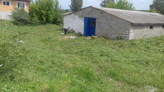 Волонтери будують біля Тернополя центр перетримки собак і дуже просять про допомогу