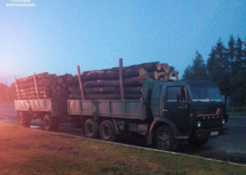 Нелегальну деревину перевозили на Тернопільщині
