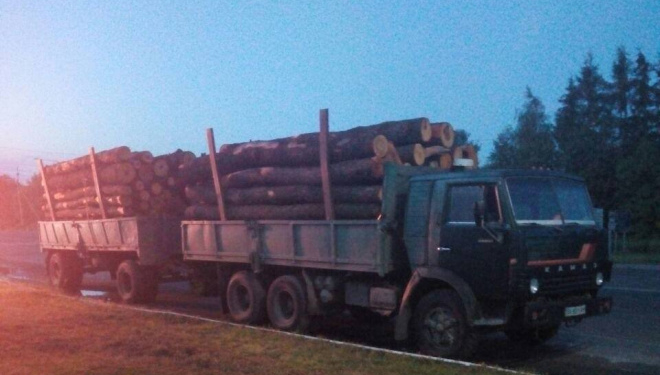 Нелегальну деревину перевозили на Тернопільщині