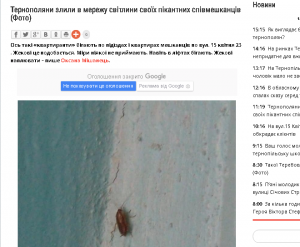 Тернополянці, яка пожалілися на тарганів у квартирі, порадили їх знищити самостійно