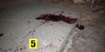 Жінка вбила свого вітчима, порізала руку братові і втекла (ФОТО)