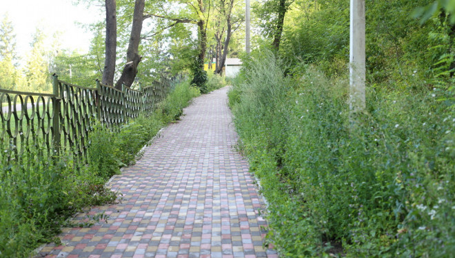 Очільник Тернополя оглянув стан завершення робіт на вулиці Чернівецькій