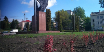 Неподалік пам’ятника Бандері висадили червонолистий барбарис