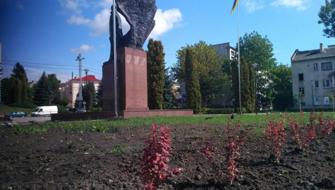 Неподалік пам’ятника Бандері висадили червонолистий барбарис
