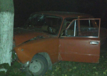 П’яний водій врізався у дерево