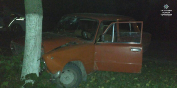 П’яний водій врізався у дерево