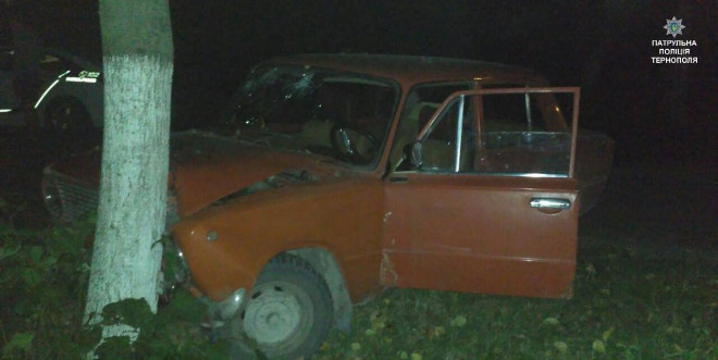 П’яний водій врізався у дерево