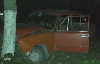 Як п’яний водій на Тернопільщині врізався в дерево (фотофакт)