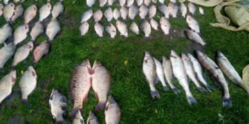 Захотіли хлопці на Тернопільщині рибки зловити…