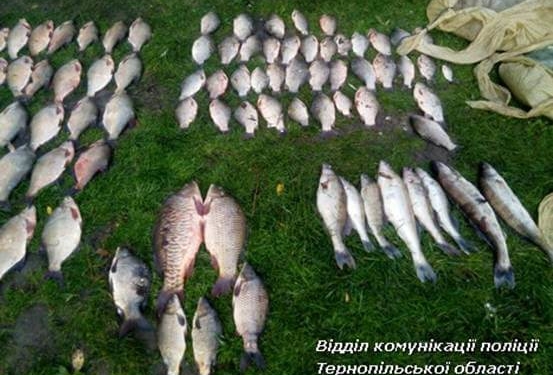 Захотіли хлопці на Тернопільщині рибки зловити…