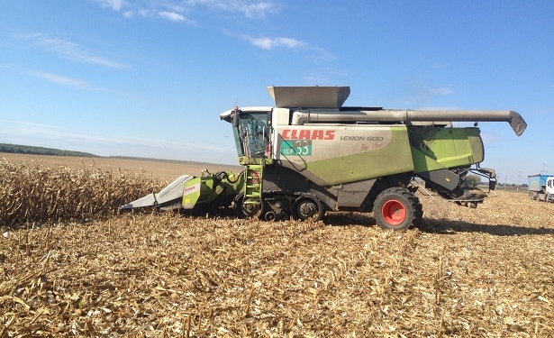 «МРІЯ» розпочала збір олійних та пізніх зернових культур