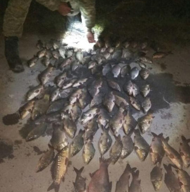 Патрульні затримали браконьєрів за “гарячими слідами”