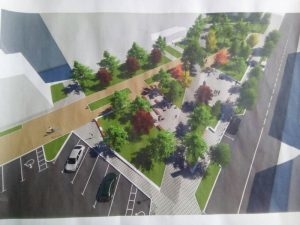 В оновленому сквері висадять клени, дуби та червонолистий барбарис