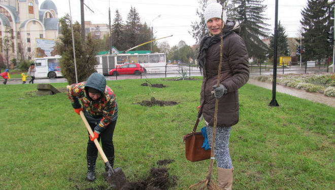 У Тернополі створили “Алею єднання”