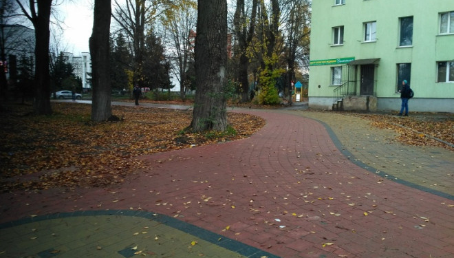 У Тернополі з’явилася ще одна європейська велодоріжка