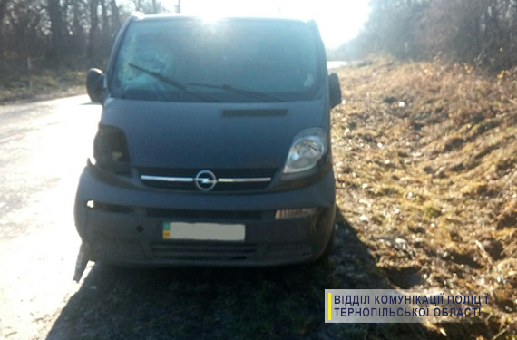 Під колесами авто на Тернопільщині загинув чоловік