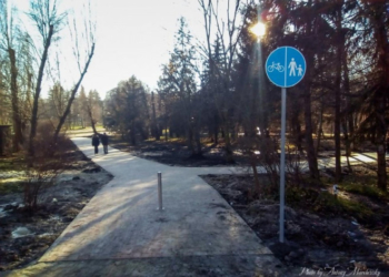 В парку “Топільче” з’явилася доріжка – пандус