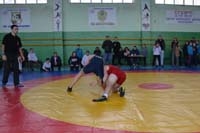 У Теребовлі відбувся Всеукраїнський турнір з вільної боротьби