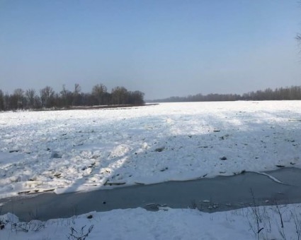 На Тернопільщині просто посеред поля знайдено тіло людини, – поліція