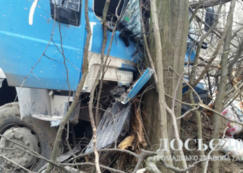 На дорозі в Теребовлянському районі трапилася біда