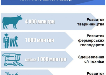 Що Уряд пропонує селянам і до чого готуватися фермерам