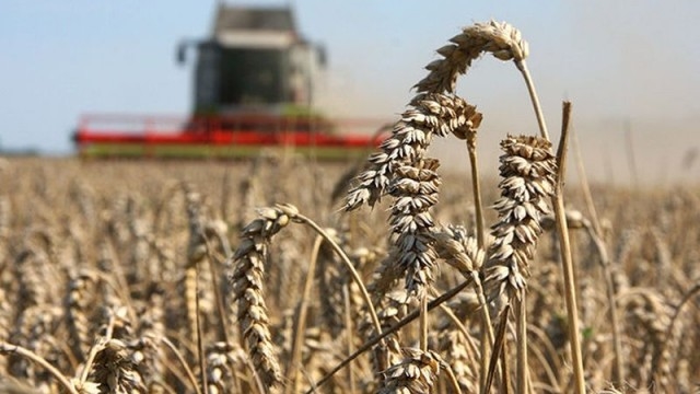 Перші два мільярди тернопільських аграріїв