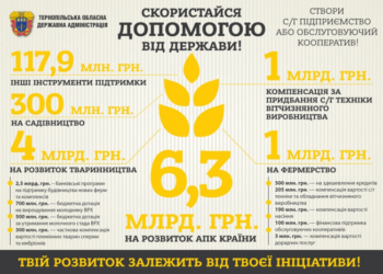 Скористайся допомогою від держави! Створи обслуговуючий кооператив! (інфографіка)