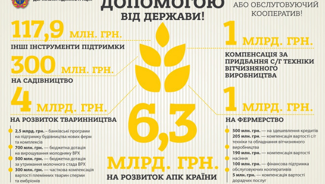 Скористайся допомогою від держави! Створи обслуговуючий кооператив! (інфографіка)