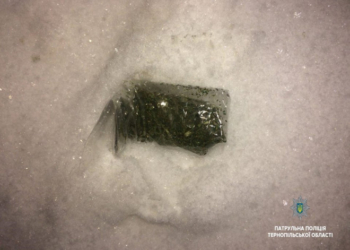 Посеред ночі патрульні виявили у перехожого наркотики