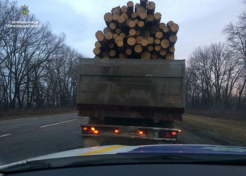 На Тернопільщині вантажівка вивозила деревину без документів