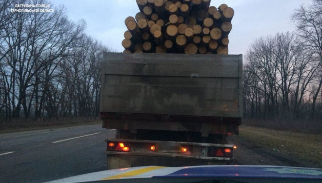 На Тернопільщині вантажівка вивозила деревину без документів