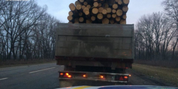 Доїздився: на Тернопільщині спіймали авто з деревом без документів