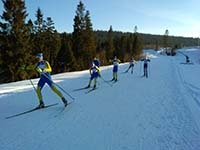 Представник Тернопільського «Інваспорту» Андрій Андріїшин здобув два «золота» і «бронзу» чемпіонату України