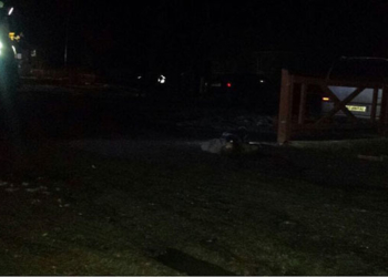 На Тернопільщині під колесами Audi загинув чоловік