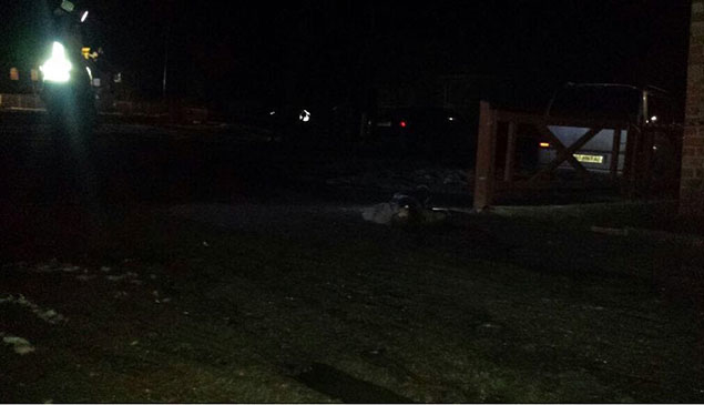 На Тернопільщині під колесами Audi загинув чоловік