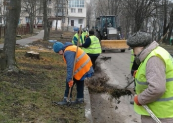 Як у Тернополі триває двомісячник благоустрою (фотофакт)
