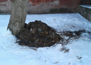 Яке жахіття: що творять самі тернополяни у місті, в якому живуть